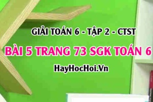 Giải bài 5 trang 73 Toán 6 Tập 2 SGK Chân trời sáng tạo